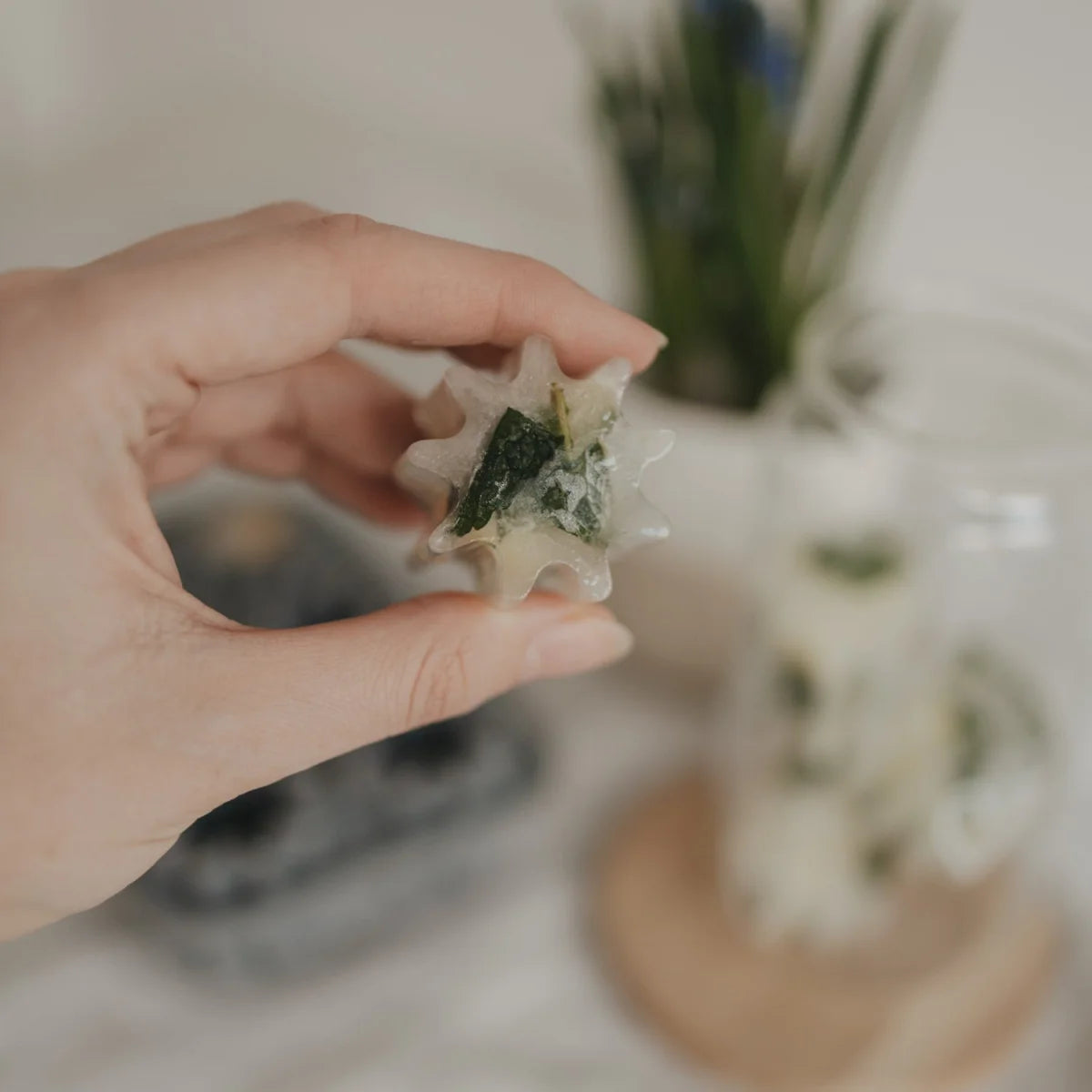 Transparente sternförmige Eiswürfel mit grünen Kräutern in Blütenform