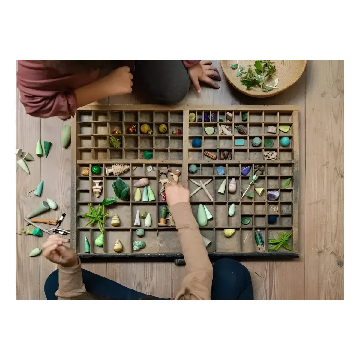 Holzes tablett mit mehreren fächern und bunten steinen muscheln und blättern im forest tree design