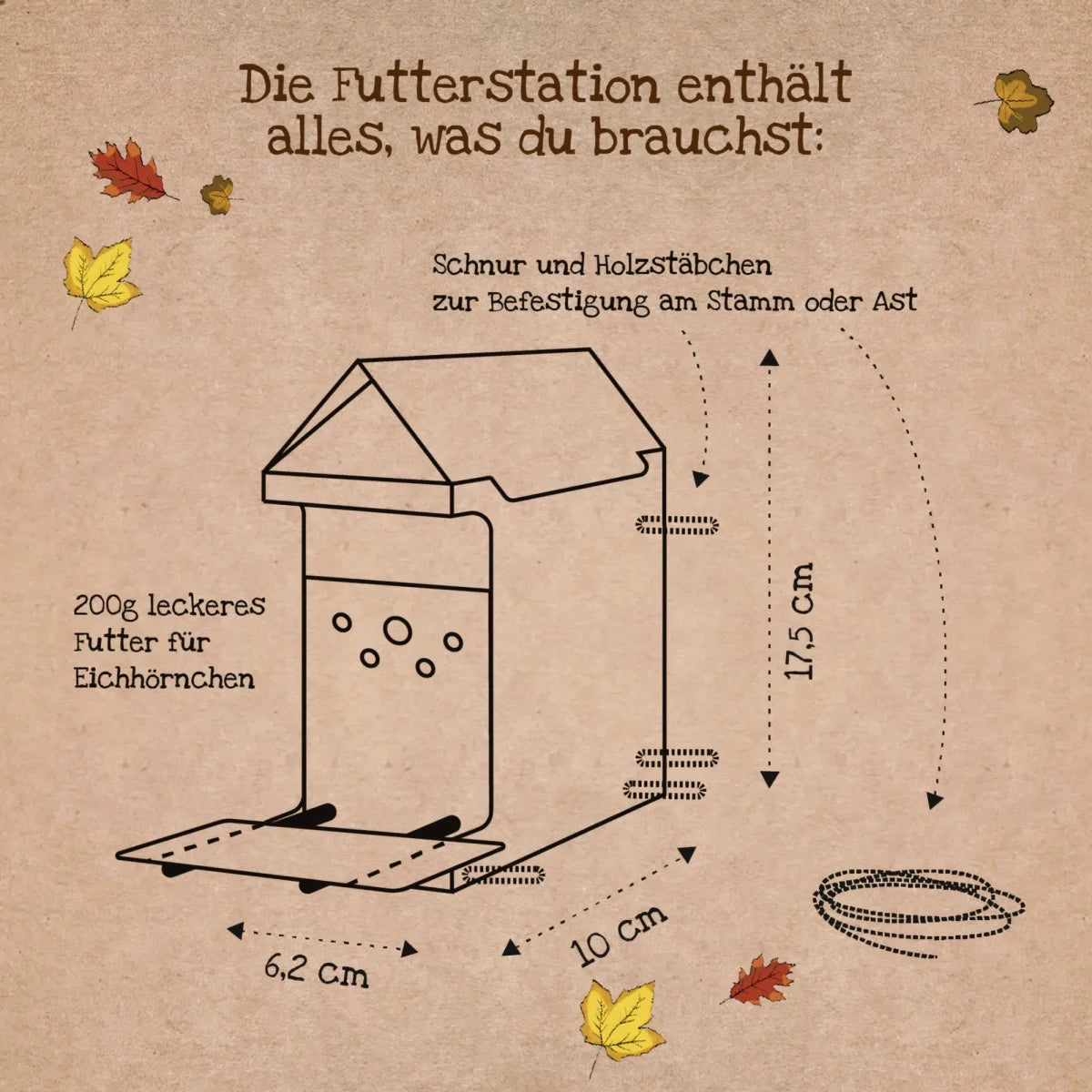 Freiluftbuffet Eichhörnchen von DIE STADTGÄRTNER