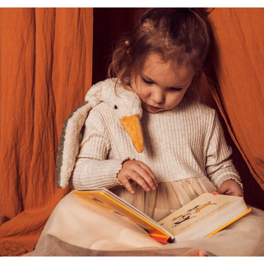 Junges Kind liest Buch mit Plüschente aus Kuscheltier Möwe klein