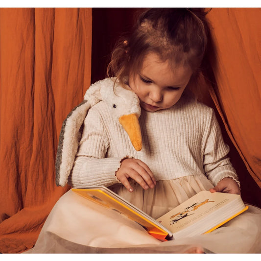 Junges Kind liest Buch mit Plüschente aus Kuscheltier Möwe klein