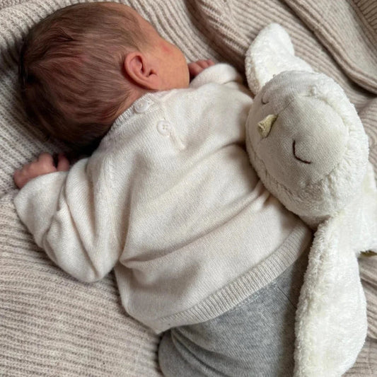 Sleeping baby with the small snowy owl soft toy