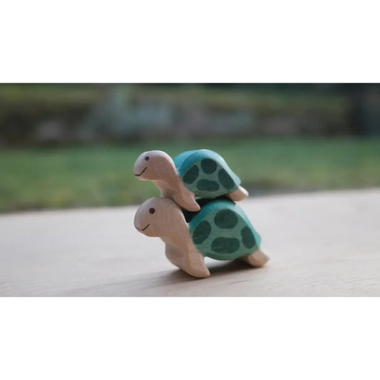 Zwei Holzschildkröten: teal Schale und beige Körper, Meeresschildkröte