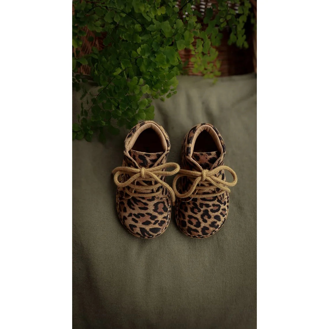Klassische Leopard-Desert-Boots für Babys aus pflanzlich gegerbtem Wildleder, Petit Nord