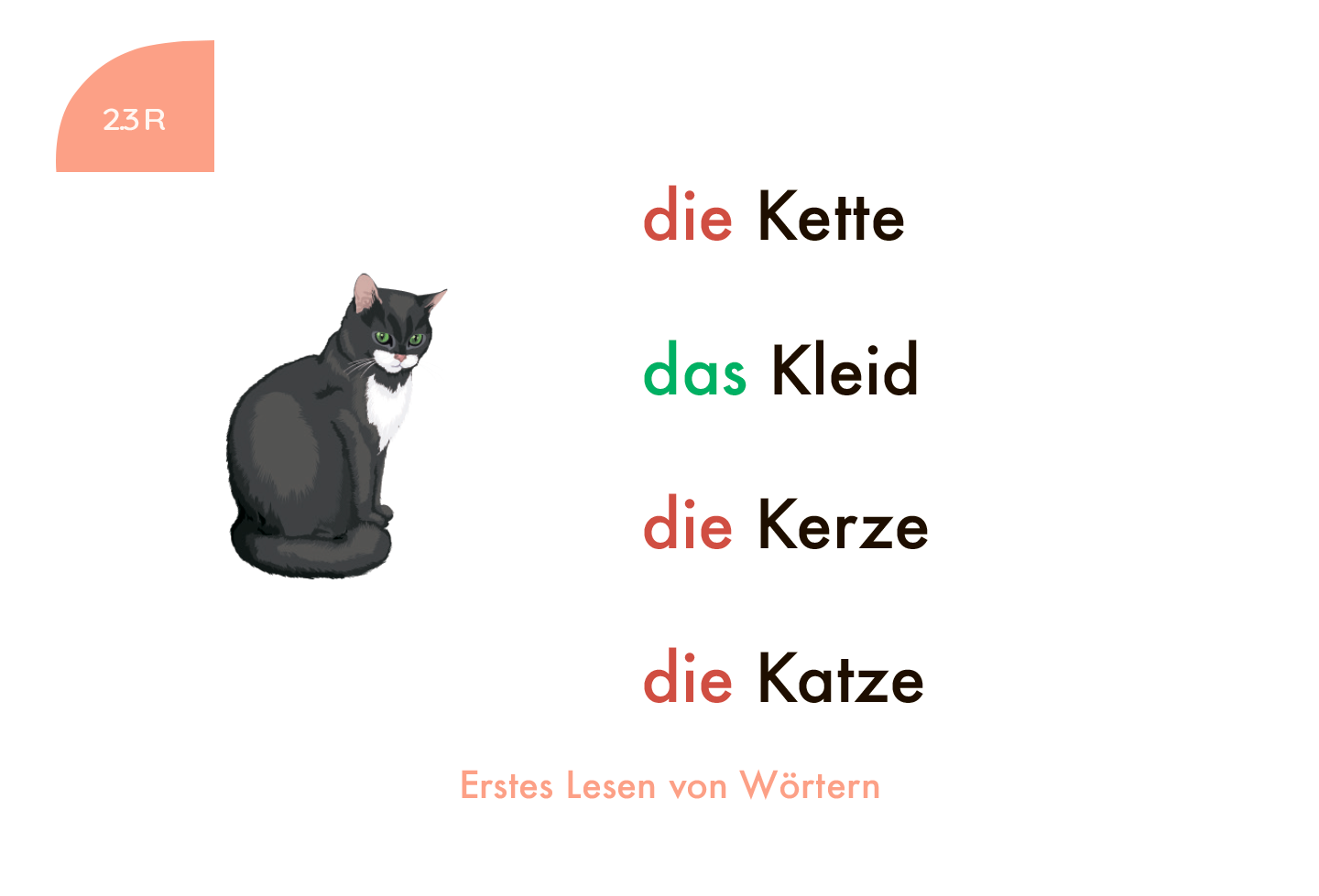 Lochkasten Kartensatz Erstes Lesen von Wörtern vom Kölner Lernspielverlag - Detailansicht 3