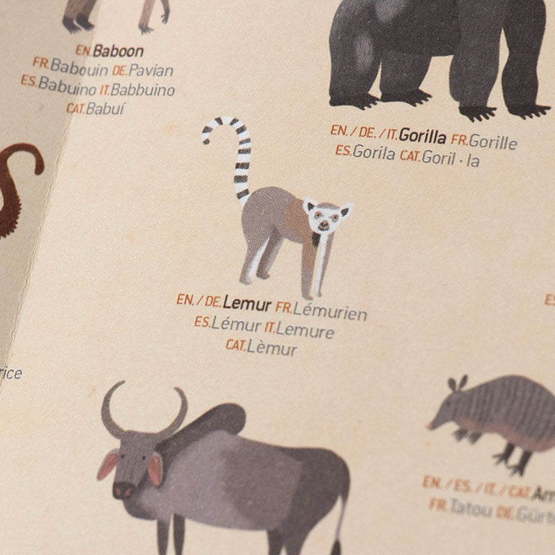 Animal World Posters + Stickers