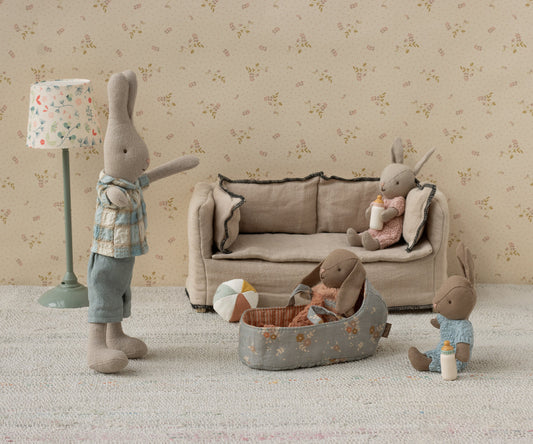 Étui de transport micro