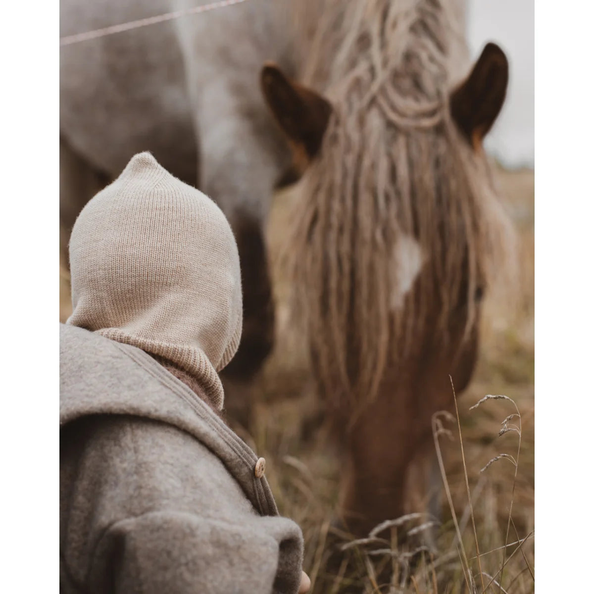 Balaclava Eddy | Sand