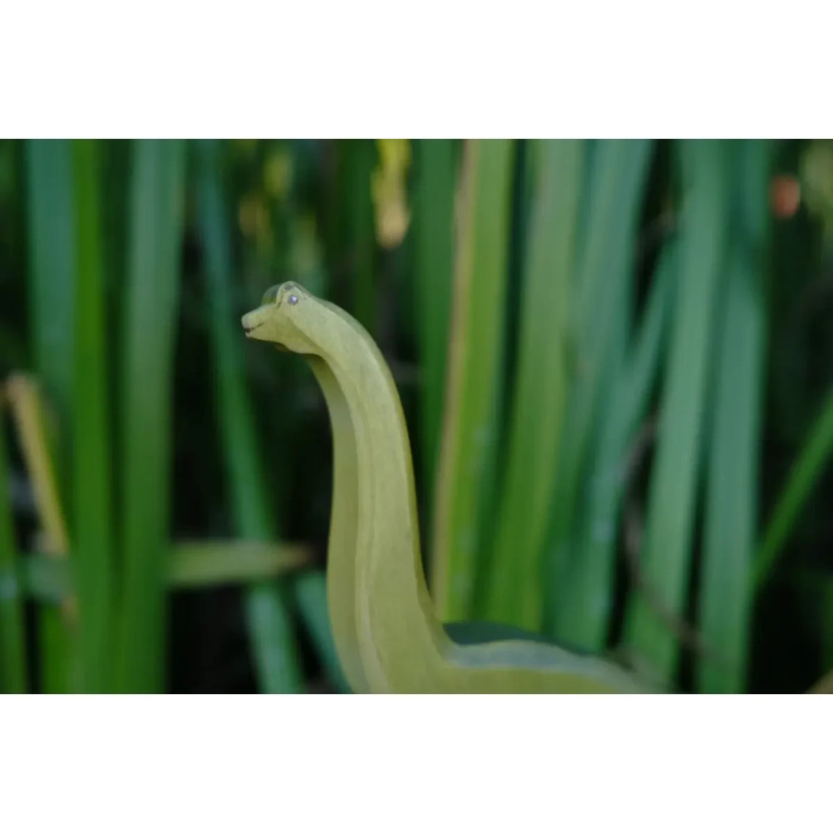 Hellergrüner Plastik-Brachiosaurus mit langem Hals und kleinem Kopf, ein Auge sichtbar
