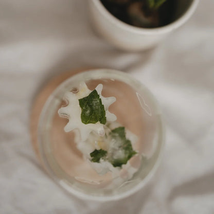 Klarer Glasbecher mit hellrosa Getränk, Minze und Eiswürfeln in Blume-Form