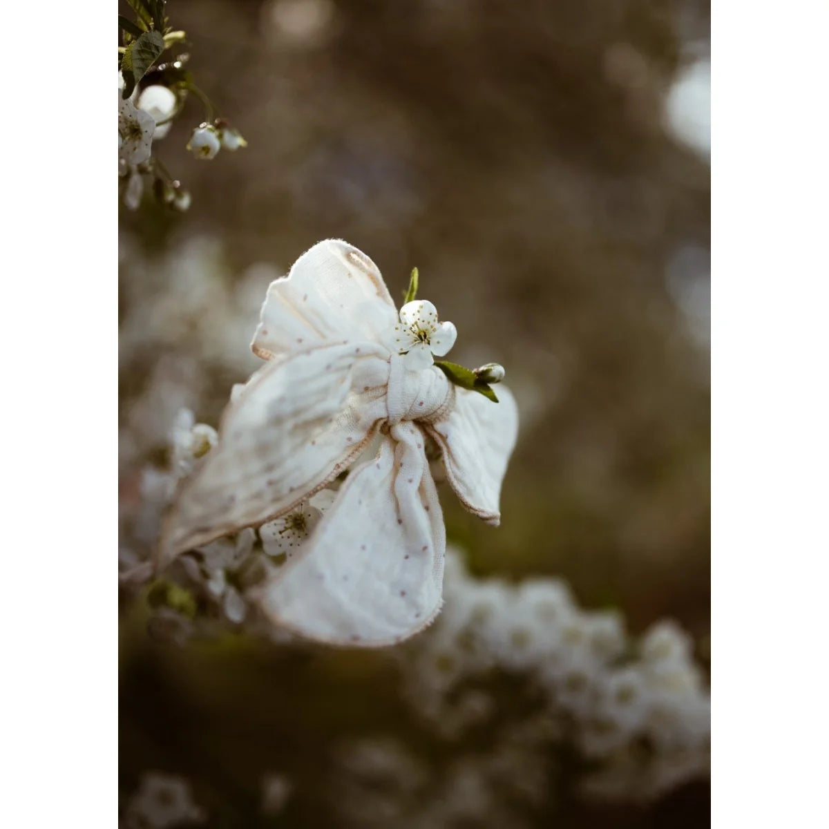 Haarschleife Petite Petals von Mrs Ertha zwischen Blütenzweigen