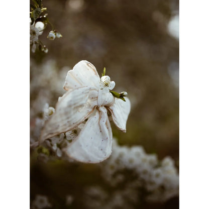 Haarschleife Petite Petals von Mrs Ertha zwischen Blütenzweigen