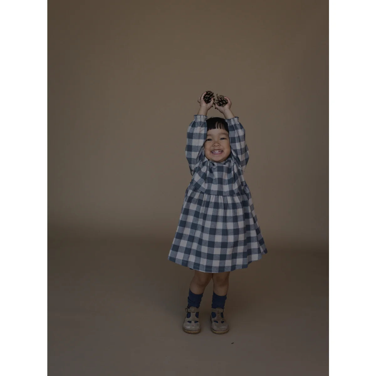 Field Dress | Fog Blue Gingham