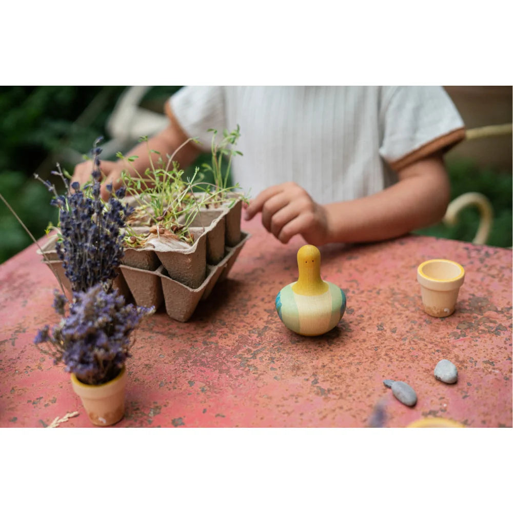 Eierkarton-Pflanzer mit grünen Sprossen und lila Blüten im Flowing Yellow Bird