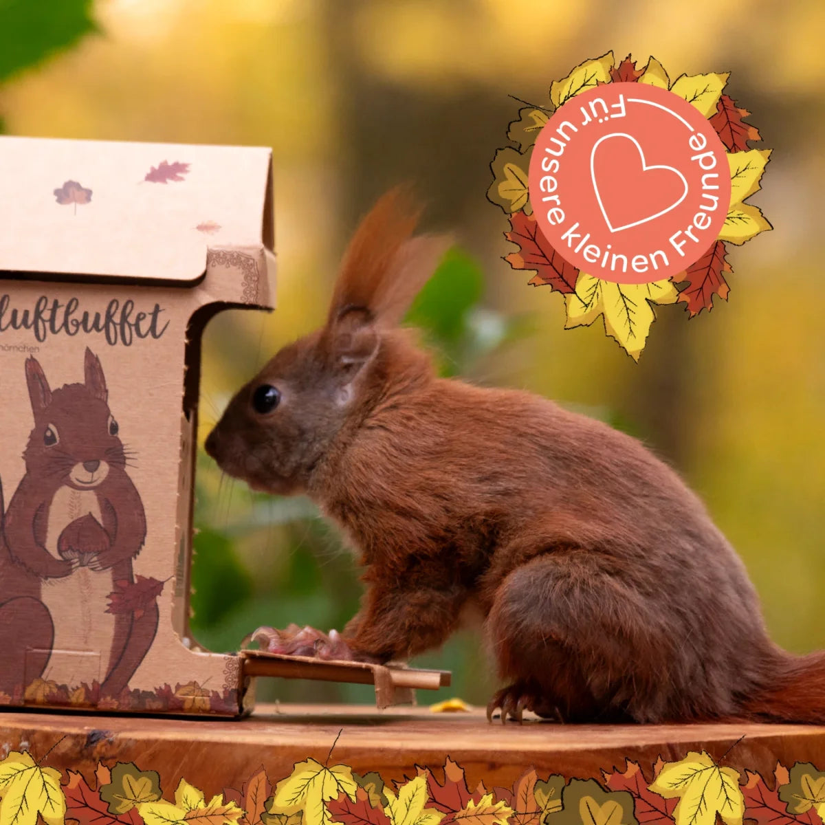 Freiluftbuffet Eichhörnchen von DIE STADTGÄRTNER