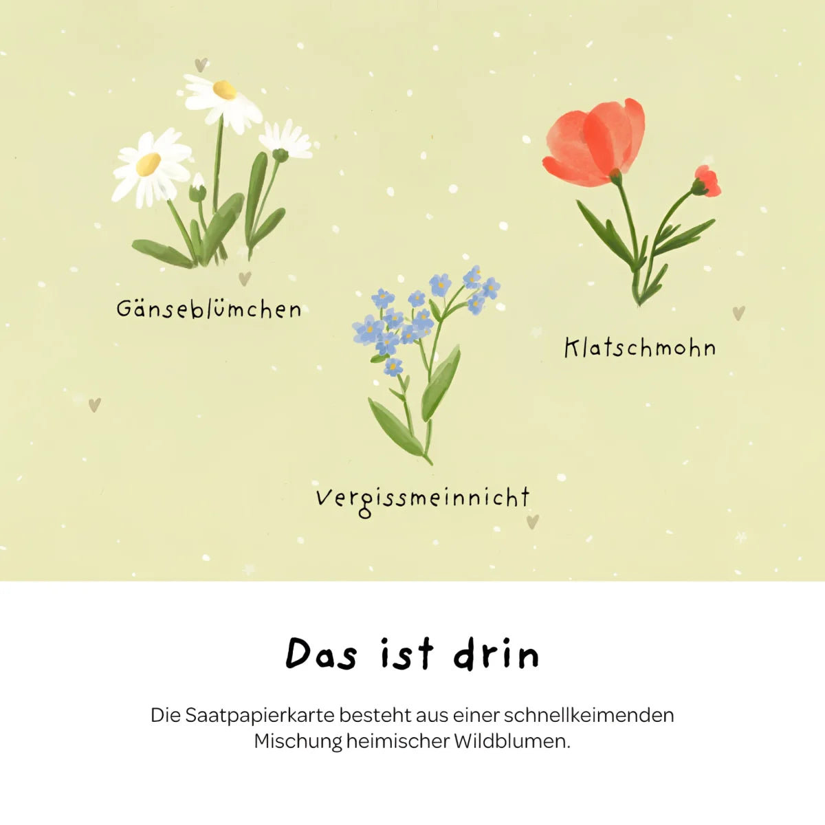 Illustrierte samenpapier karte hurra du bist da mit zarten aquarellzeichnungen von weißen gänseblümchen rotem klatschmohn und blauen vergissmeinnicht