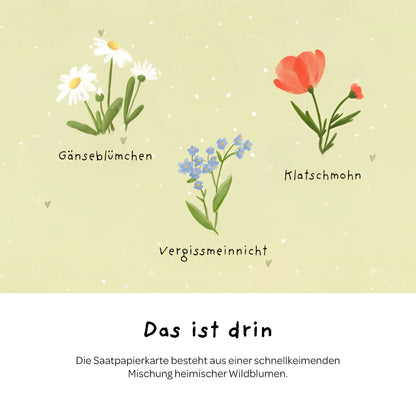 Illustrierte samenpapier karte hurra du bist da mit zarten aquarellzeichnungen von weißen gänseblümchen rotem klatschmohn und blauen vergissmeinnicht