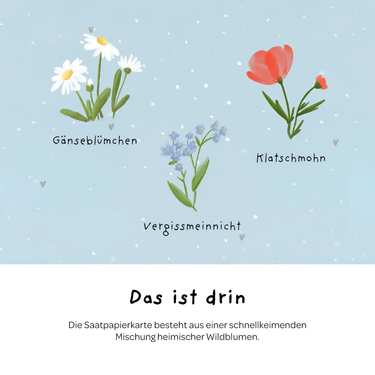 Illustrierte samenpapierkarte mit drei wildblumen arten weiße gänseblümchen rote mohnblumen blaue vergissmeinnicht mit deutschen namen