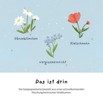 Illustrierte samenpapierkarte mit drei wildblumen arten weiße gänseblümchen rote mohnblumen blaue vergissmeinnicht mit deutschen namen