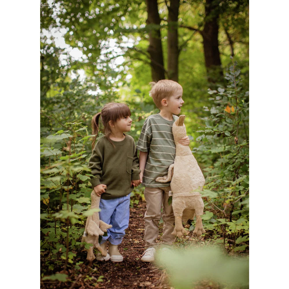 Junge hält kuscheliges Gans-Plüschtier groß in Leinen