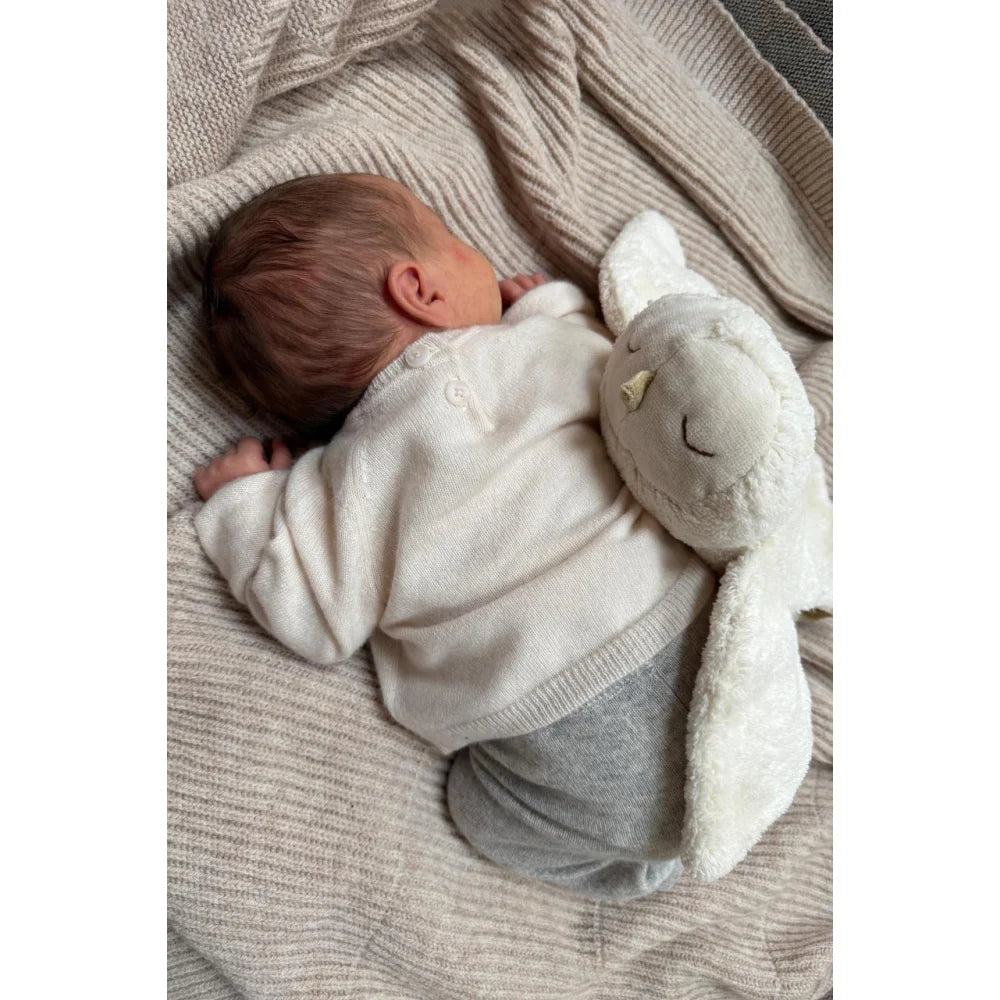 Schlafendes Baby mit Kuscheltier Schneeeule klein
