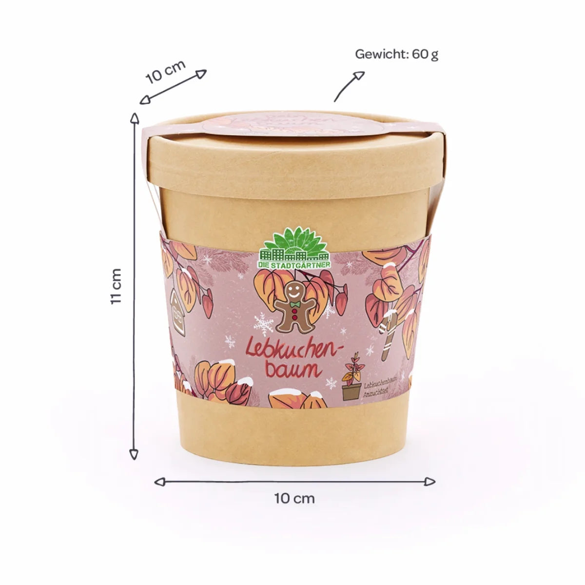 Lebkuchenbaum aus dem Becher von DIE STADTGÄRTNER