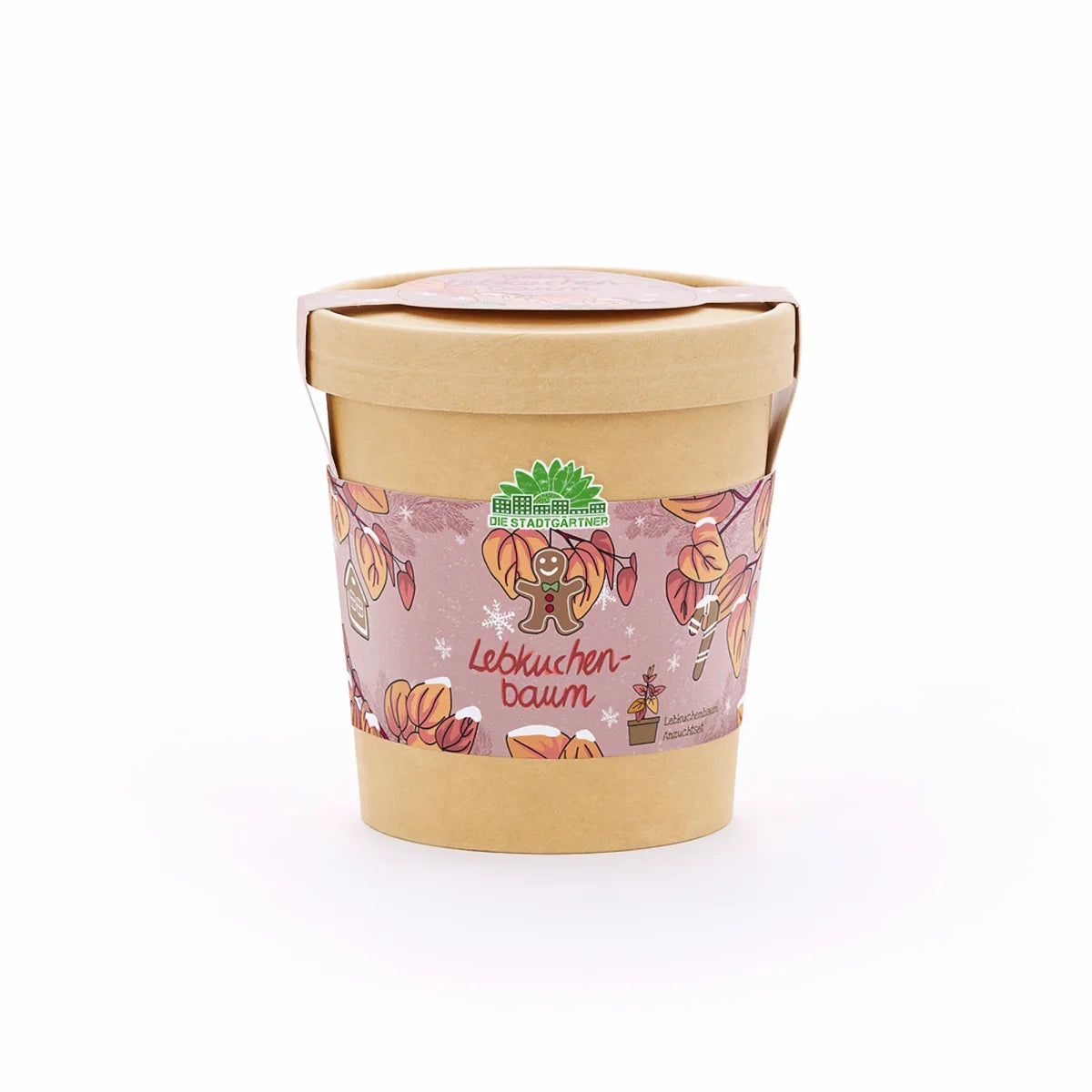 Lebkuchenbaum aus dem Becher von DIE STADTGÄRTNER