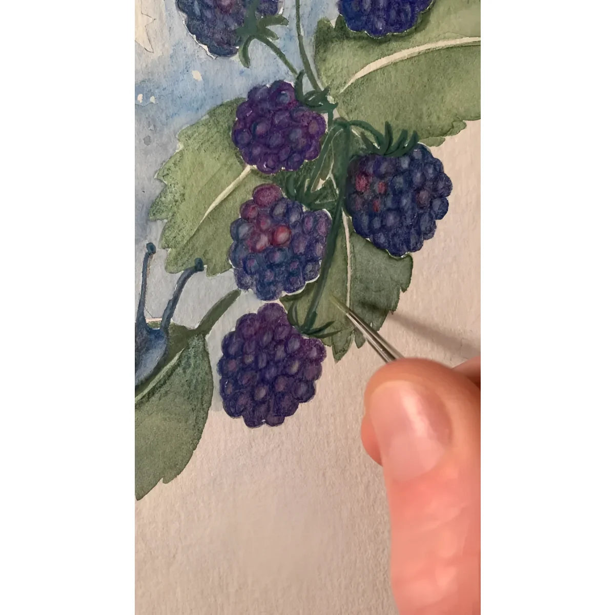 Eine hand hält einen feinen pinsel und malt dunkelviolette beeren auf ein aquarell maya fee vorbestellung juni nachhaltige babykleidung schweiz