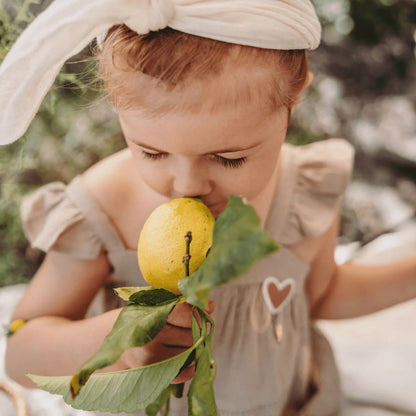 Heller gelber Zitrone mit Stiel und Blättern für Flower Power Mückenschutz