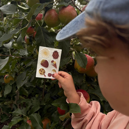 Kind hält den Stickerbogen der Limited Edition an einem Apfelbaum