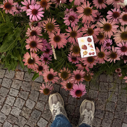 Stickerbogen der friedalovesemil Limited Edition vor blühenden Sonnenhut-Stauden