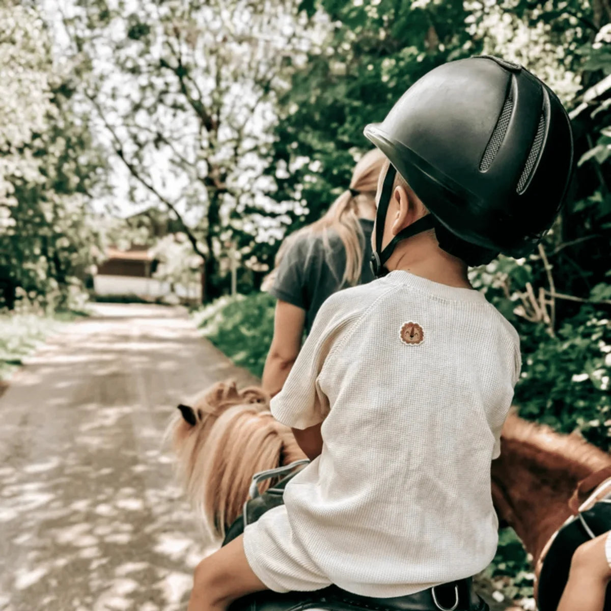 Mückenschutz WILDLIFE Edition schwarzer Reithelm mit Belüftung und gepolstertem Gurt