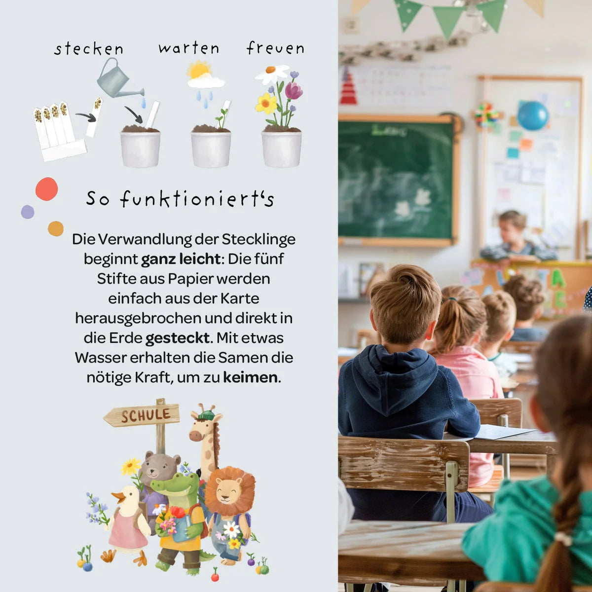Illustration eines pflanzkästchens mutblumen mit cartoon-tieren und deutscher erklärung zum aussäen von samen aus papierröllchen