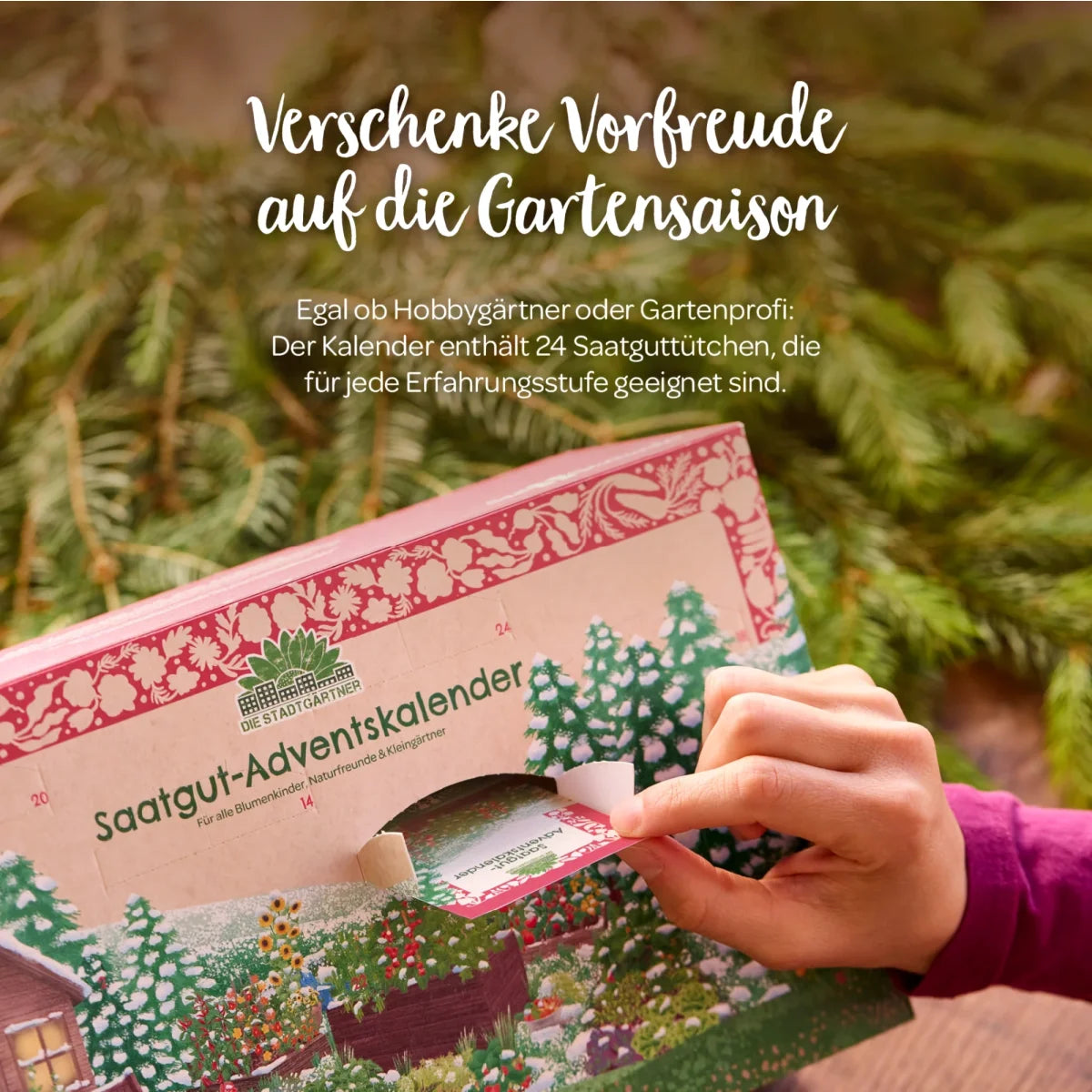Saatgut-Adventskalender Mit Türchen von DIE STADTGÄRTNER