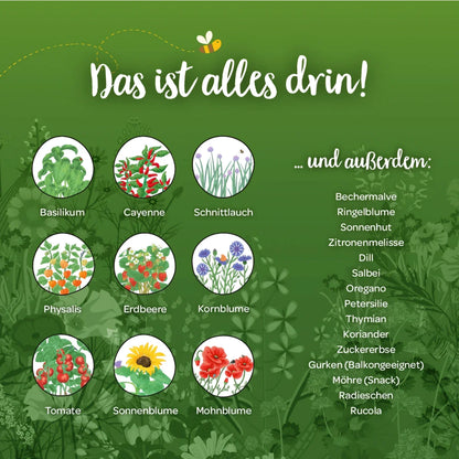 Saatgut-Adventskalender Mit Türchen von DIE STADTGÄRTNER