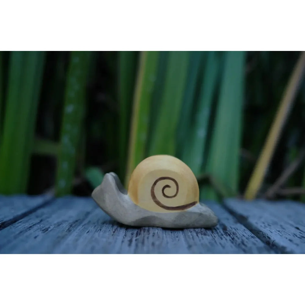 Holzschnecke mit hellgellem Gehäuse und dunkler Spiralgestaltung, Produkt Schnecke