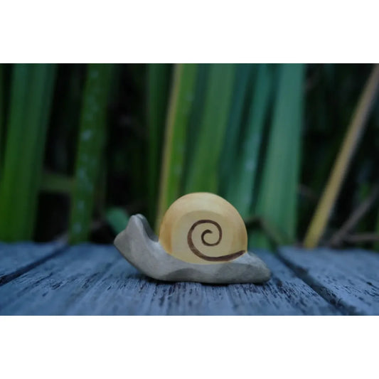 Holzschnecke mit hellgellem Gehäuse und dunkler Spiralgestaltung, Produkt Schnecke