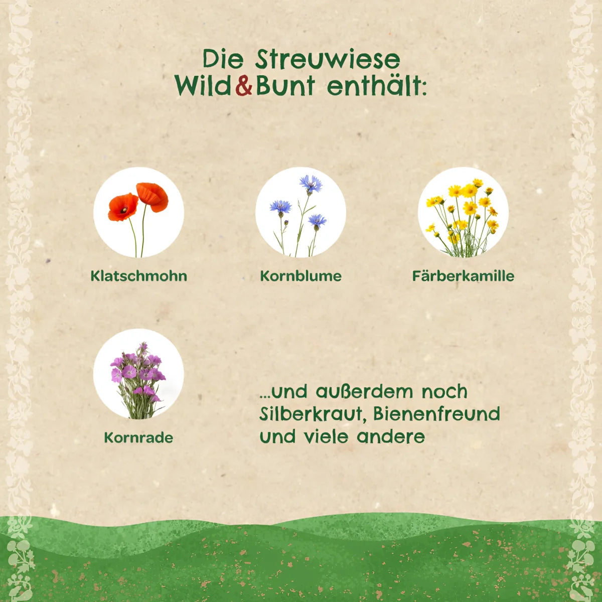 Ein rustikales papieretikett mit fünf kreisförmigen wildblumenabbildungen in rot, blau, gelb und lila für streuwiese wild bunt