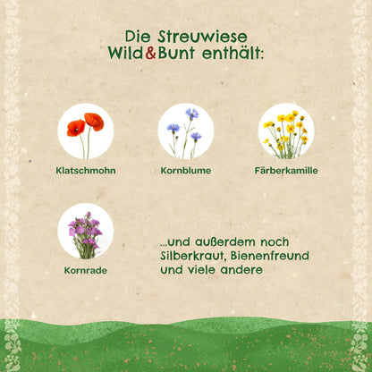 Ein rustikales papieretikett mit fünf kreisförmigen wildblumenabbildungen in rot, blau, gelb und lila für streuwiese wild bunt