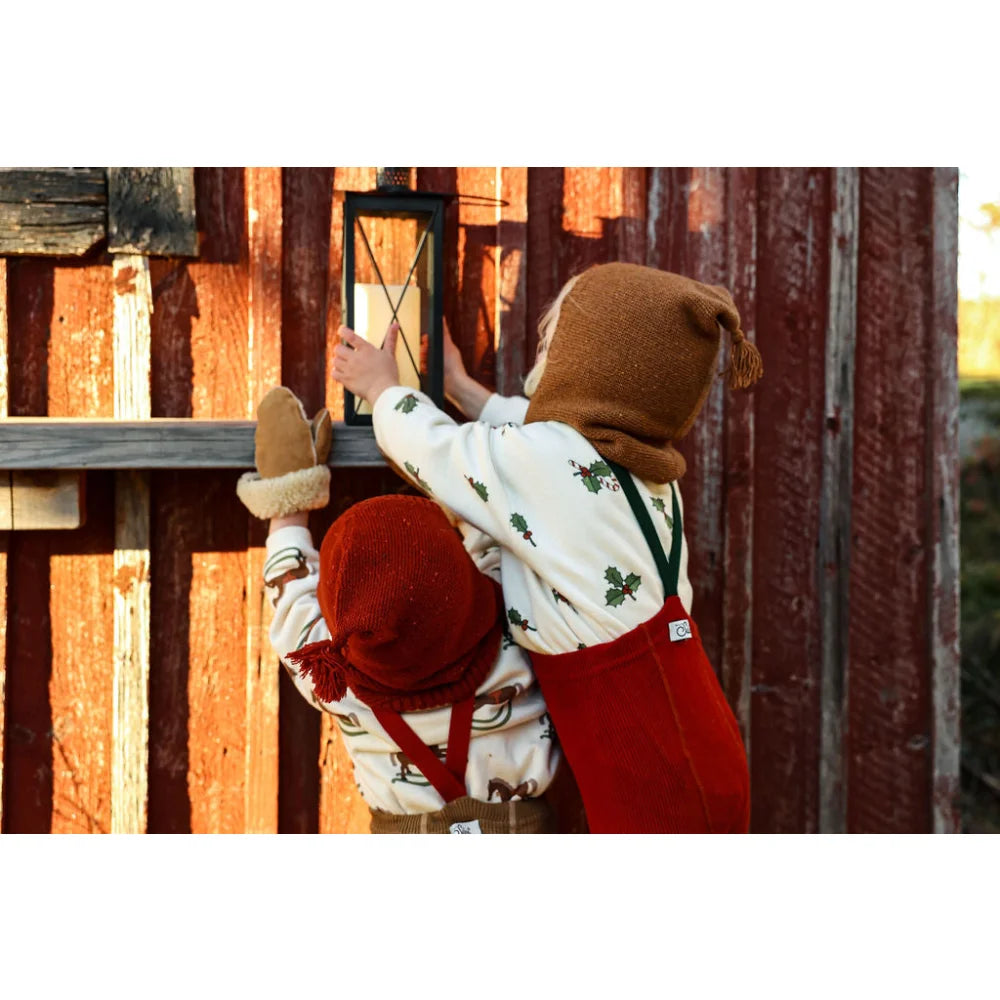 Rote und weiße Laterne mit schwarzen Glasplatten, Holzgriff, Metallrahmen