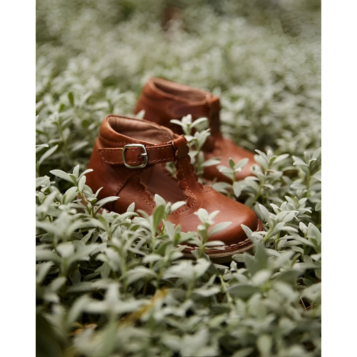 Braune Leder-Baby-Schuhe T-Bar Scallop Cognac mit Silber-Schnalle und Blumen-Naht