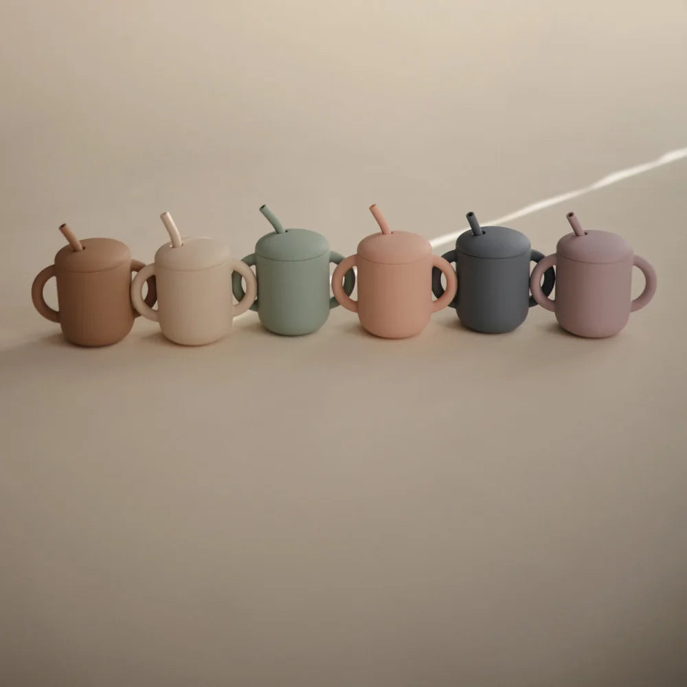Bunte Silikonschnabeltassen-Reihe für Kinder Training Cup + Straw Silikon