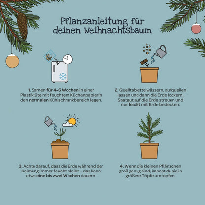 Weihnachtsbaum 2033 aus dem Becher von DIE STADTGÄRTNER