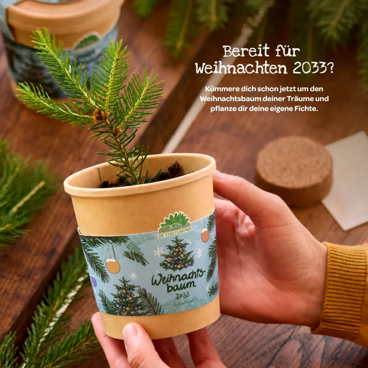 Weihnachtsbaum 2033 aus dem Becher von DIE STADTGÄRTNER