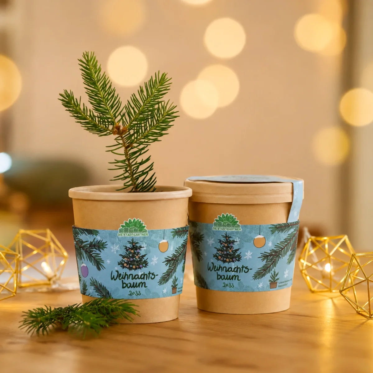 Weihnachtsbaum 2033 aus dem Becher von DIE STADTGÄRTNER