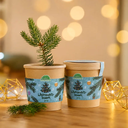 Weihnachtsbaum 2033 aus dem Becher von DIE STADTGÄRTNER