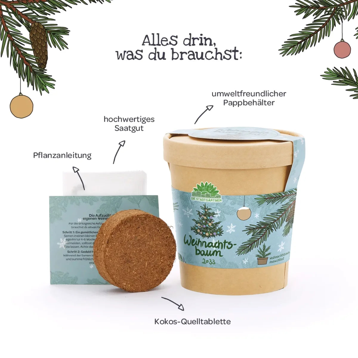 Weihnachtsbaum 2033 aus dem Becher von DIE STADTGÄRTNER