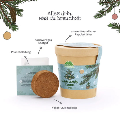 Weihnachtsbaum 2033 aus dem Becher von DIE STADTGÄRTNER