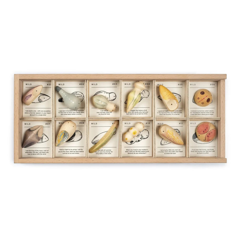 Wild 12-teiliges Holzkästchen mit Muschel-Designs in natürlichen Farben