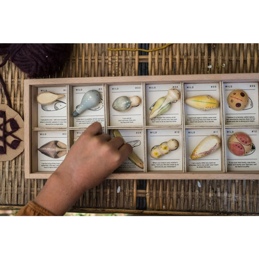 Holz-Samenbox Wild mit Fächern und illustrierten Karten